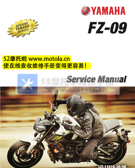 2017雅马哈MT09街车版FZ09维修手册插图