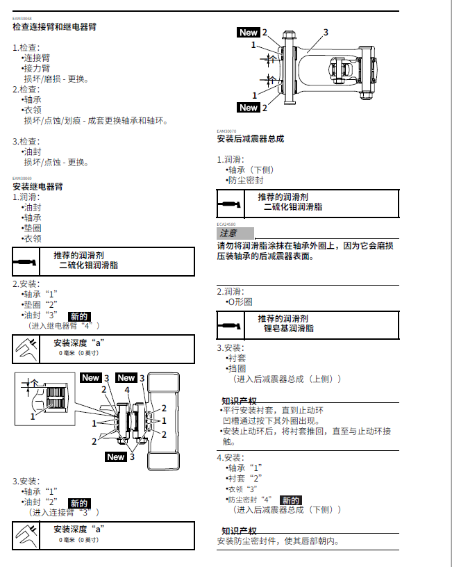 简体中文版2021雅马哈WR250F维修手册插图1