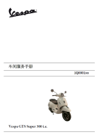 简体中文版2012-2016比亚乔GTS300维修手册ABS