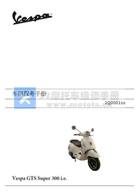 简体中文版2012-2016比亚乔GTS300维修手册ABS插图2