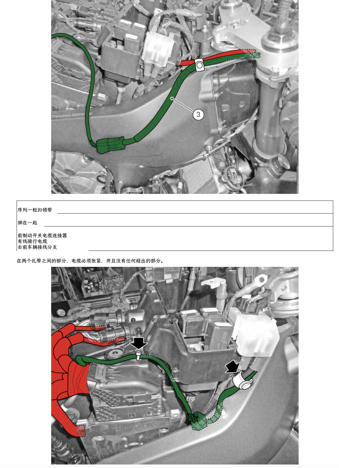 2019杜卡迪Panigale V4S维修手册插图