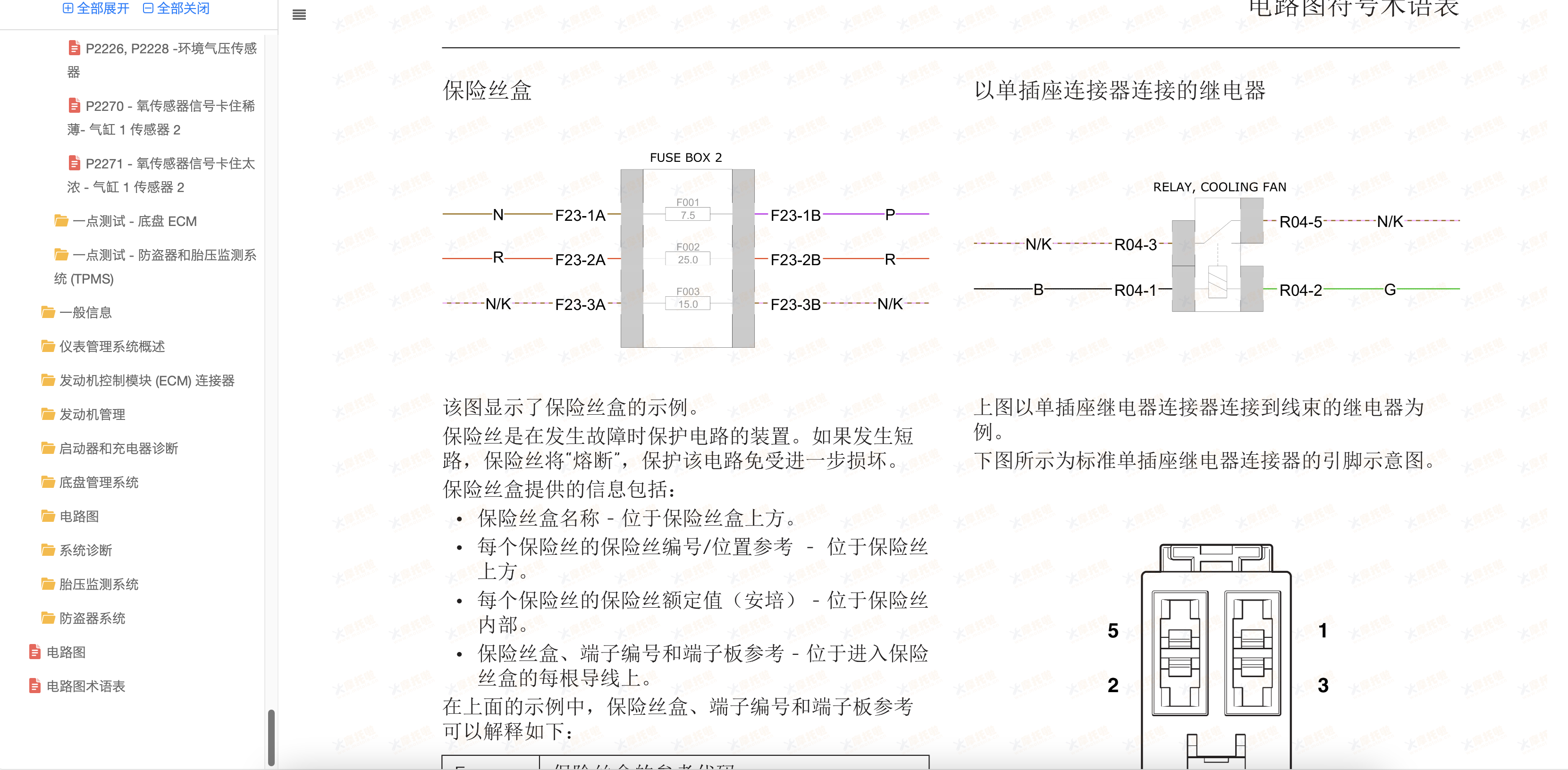 2020-2025凯旋Tige900RallyPro维修手册插图5